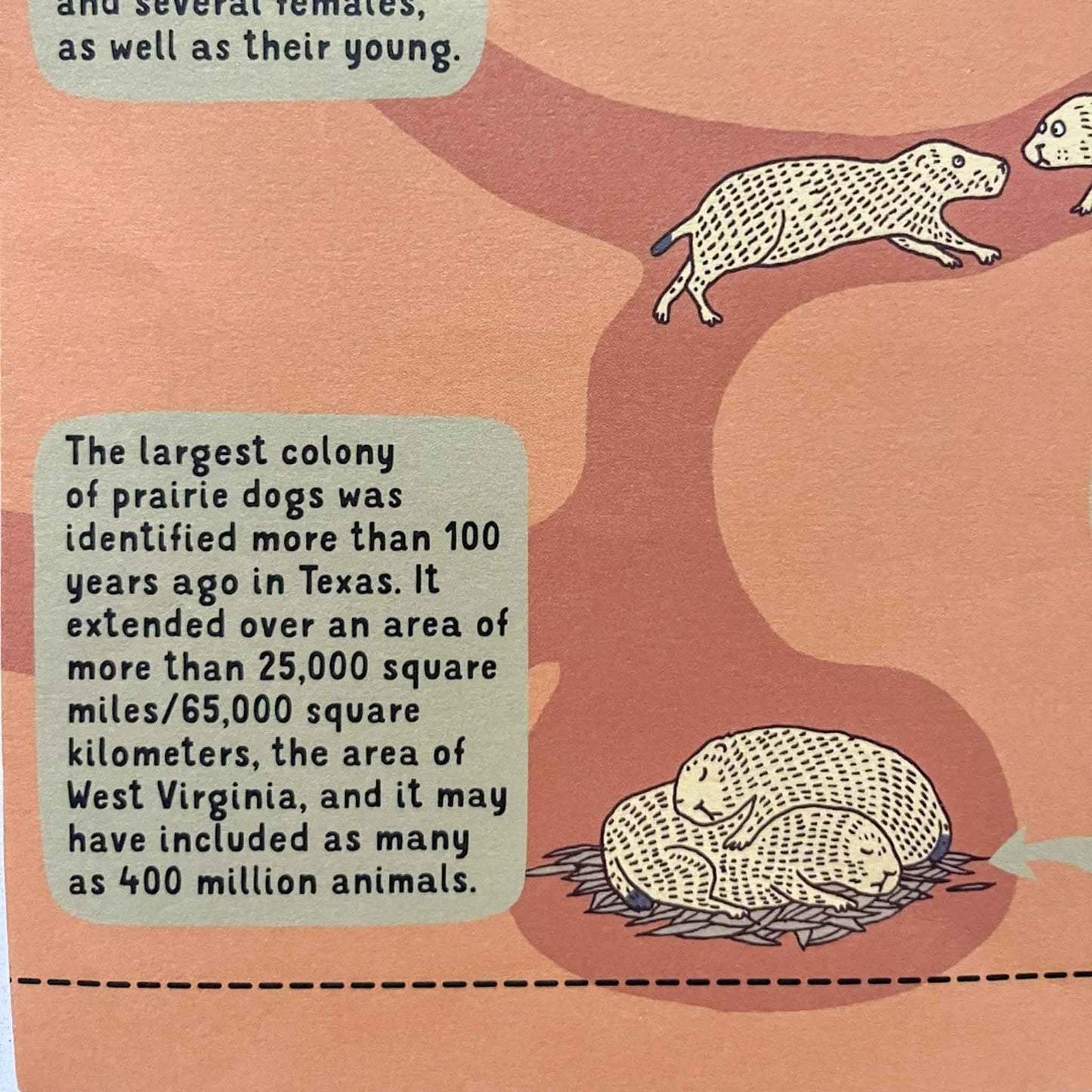 Aleksandra Mizielinska, Under Water, Under Earth