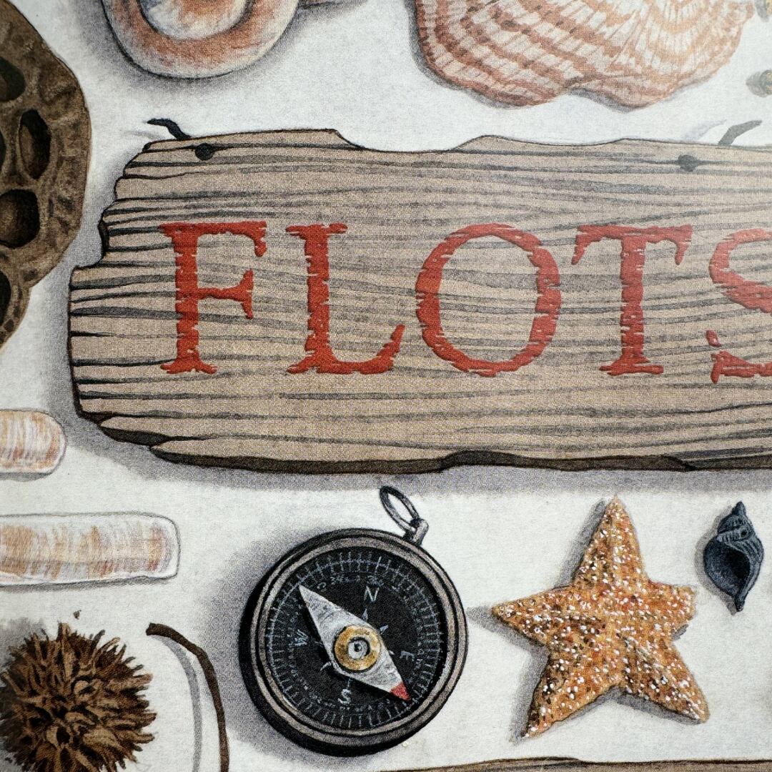 David Wiesner, Flotsam