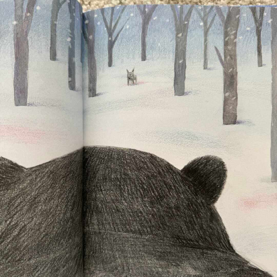 Daniel Salmieri, Bear and Wolf