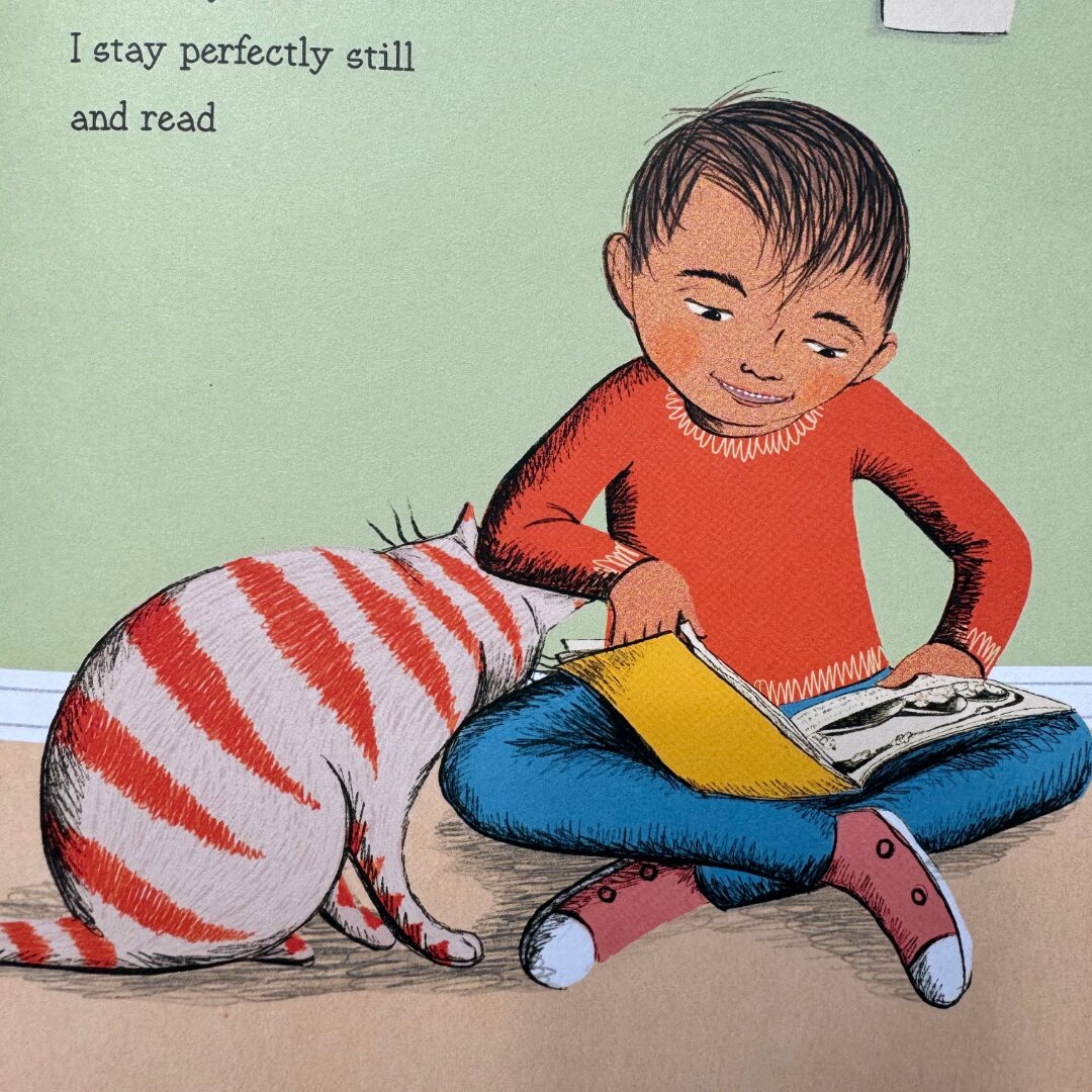 Sophie Blackall, Negative Cat