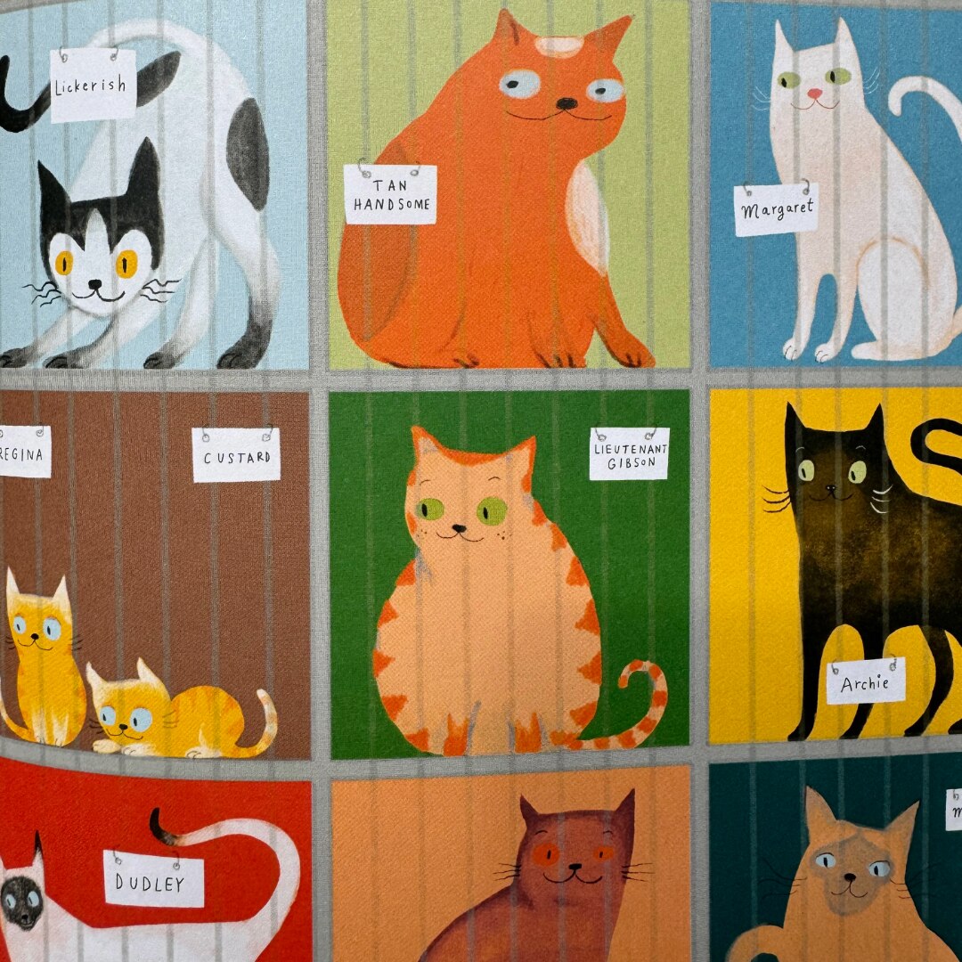 Sophie Blackall, Negative Cat