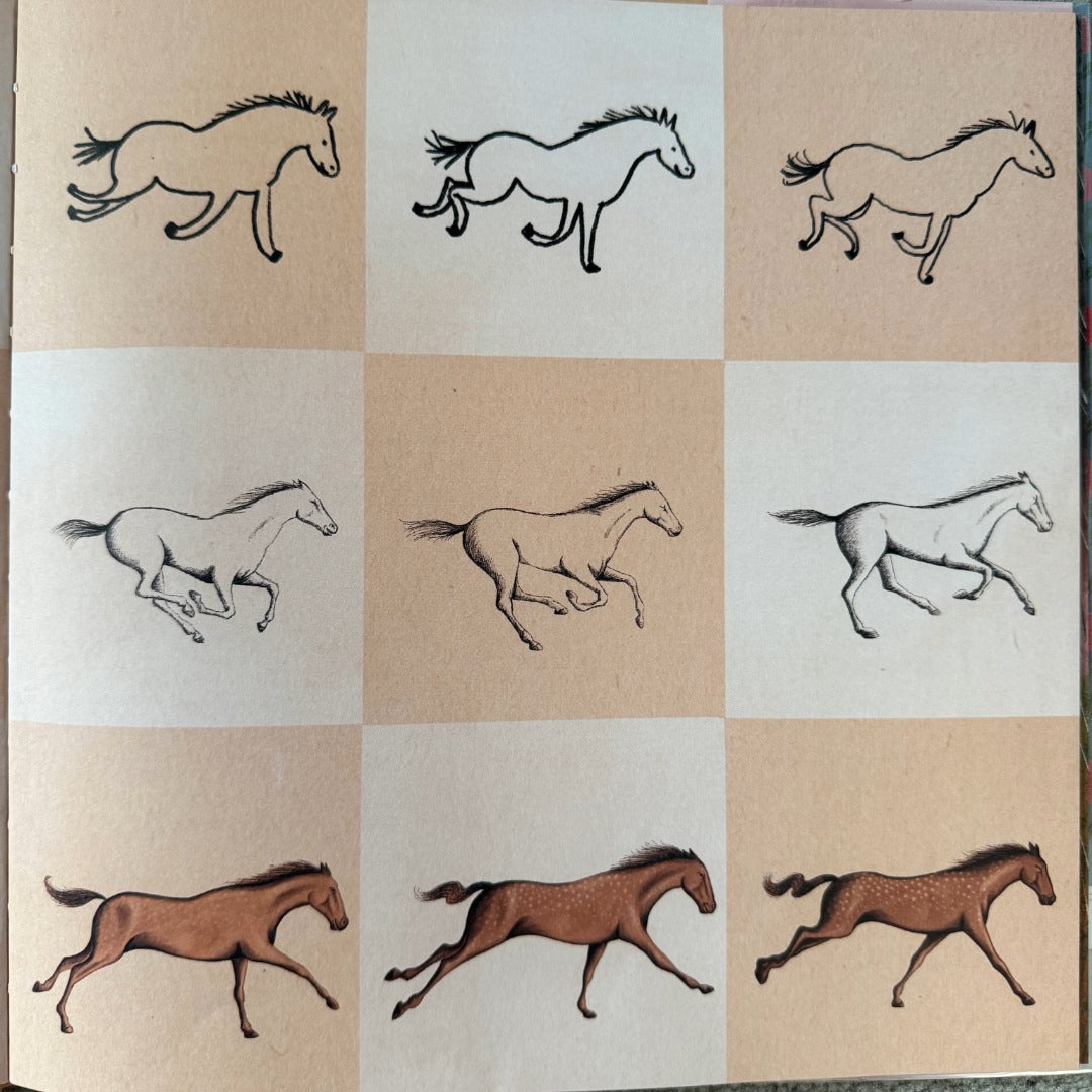 Sophie Blackall, If I Was a Horse