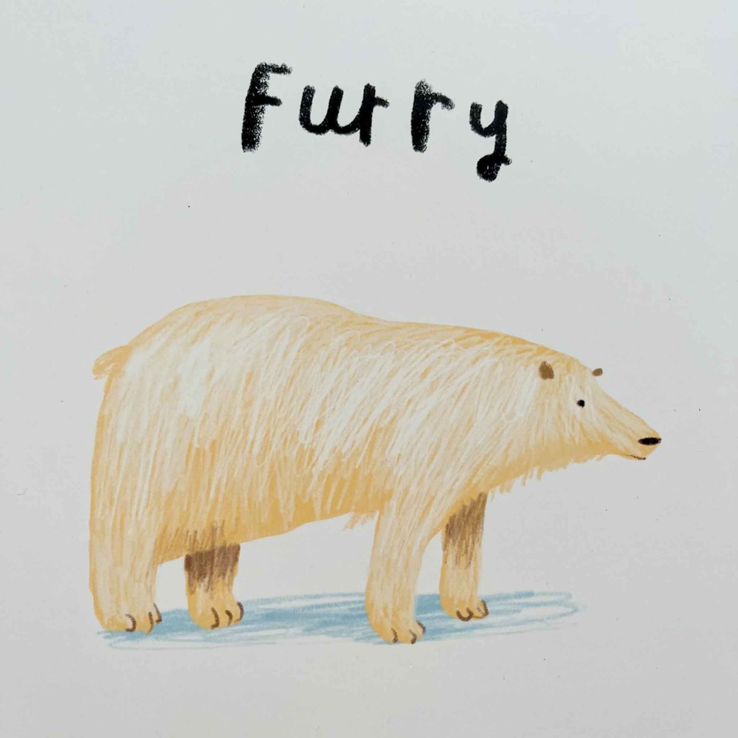 Oliver Jeffers, Here We Are: : Book of Opposites