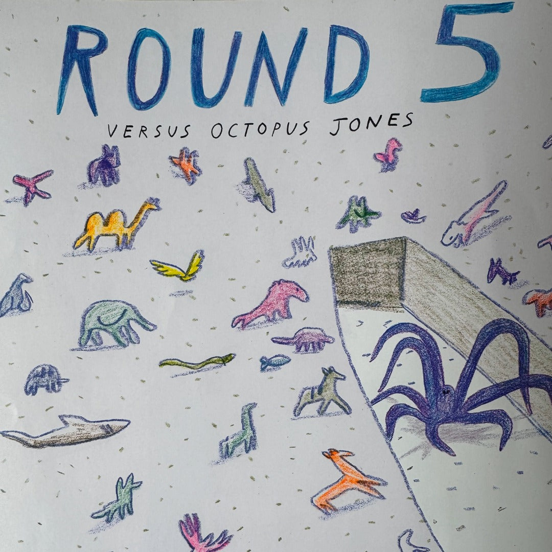 Adam Rubin, High Five