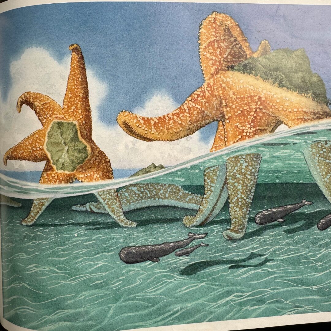 David Wiesner, Flotsam